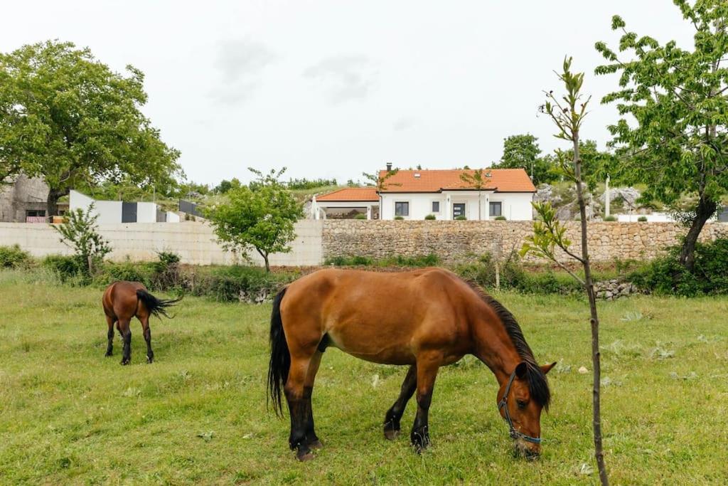 Villa Lozo, Prolozac Gornji Gornji Prolozac Bagian luar foto