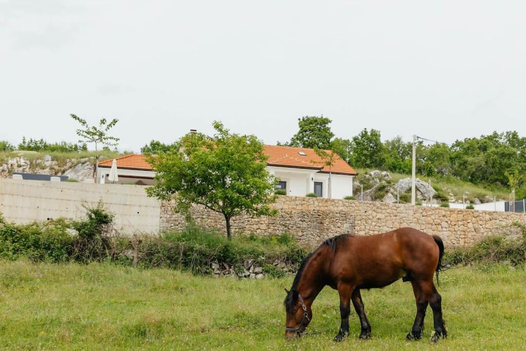 Villa Lozo, Prolozac Gornji Gornji Prolozac Bagian luar foto