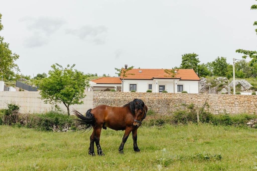 Villa Lozo, Prolozac Gornji Gornji Prolozac Bagian luar foto